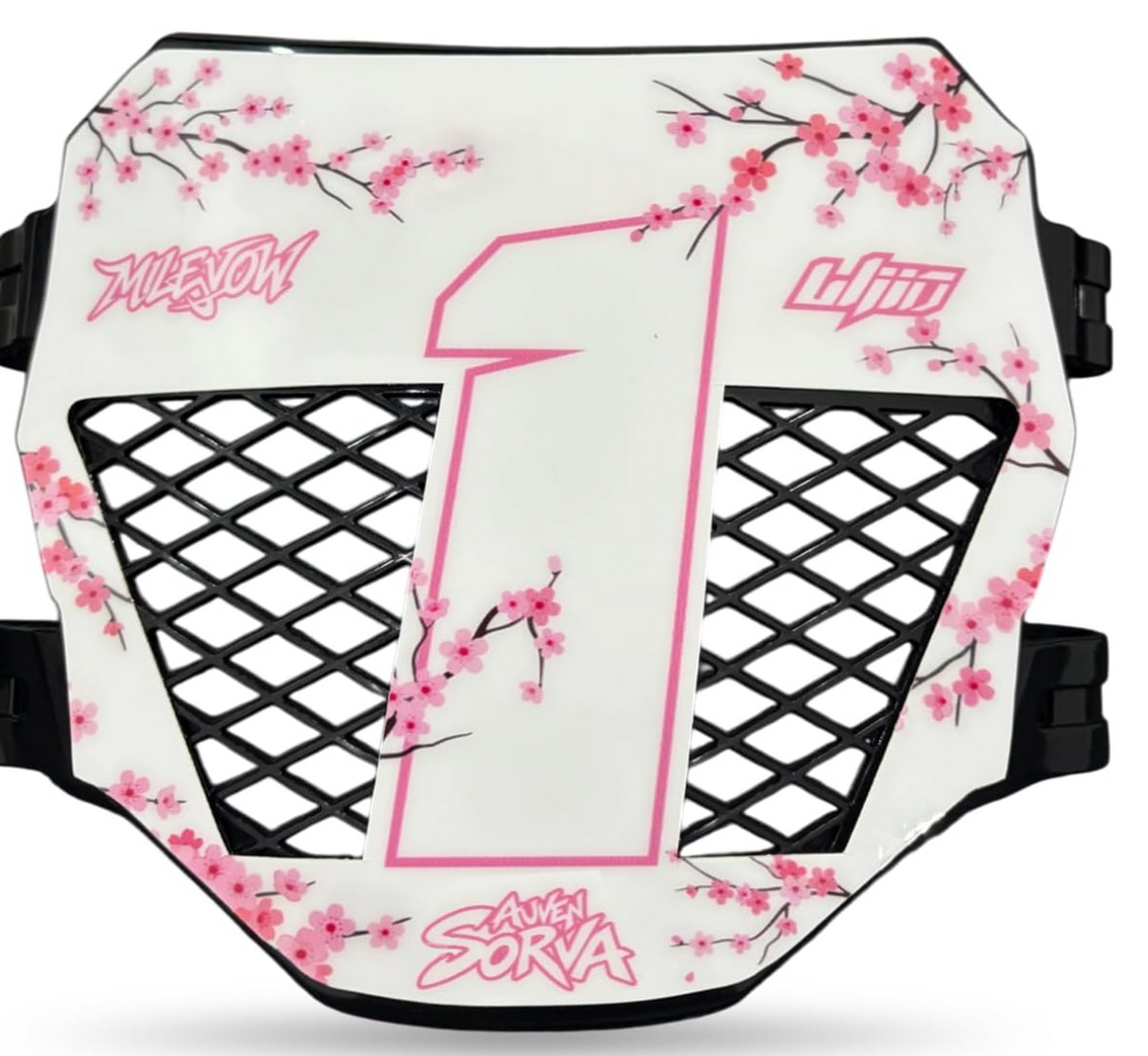Vented Front Plate with Number Plate Decal